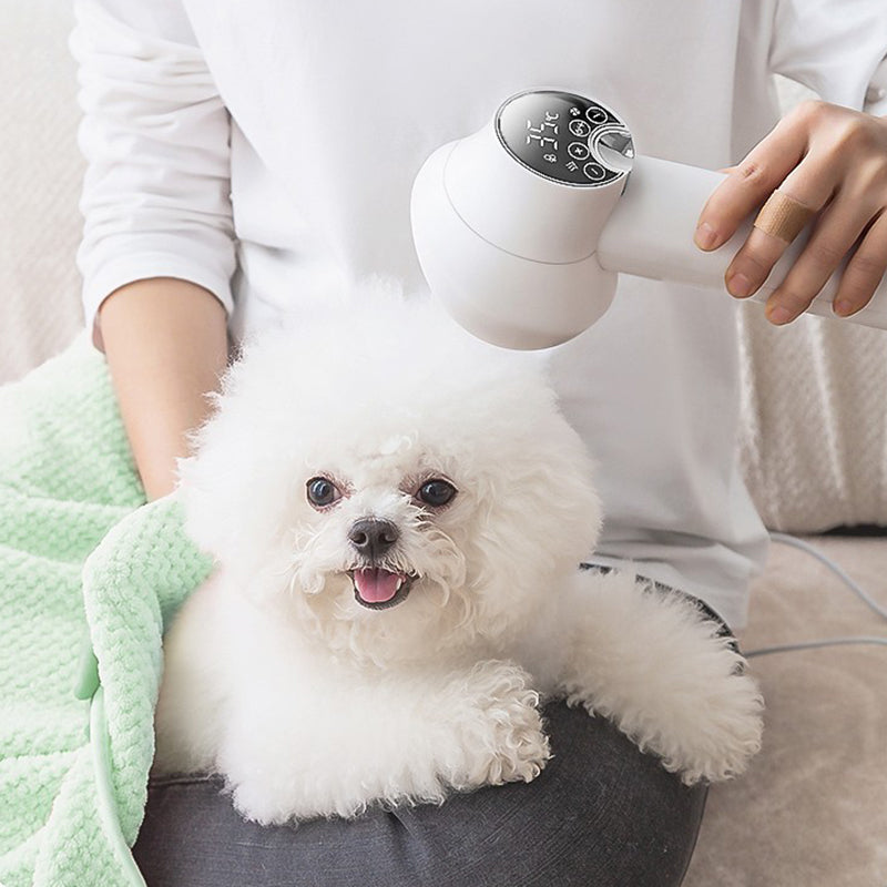 šHOT SALE ā³Low Noise Pet Hair Dryer with Slicker Brush