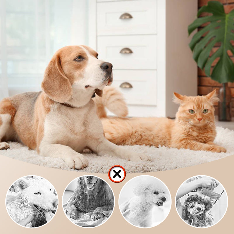 šHOT SALE ā³Low Noise Pet Hair Dryer with Slicker Brush