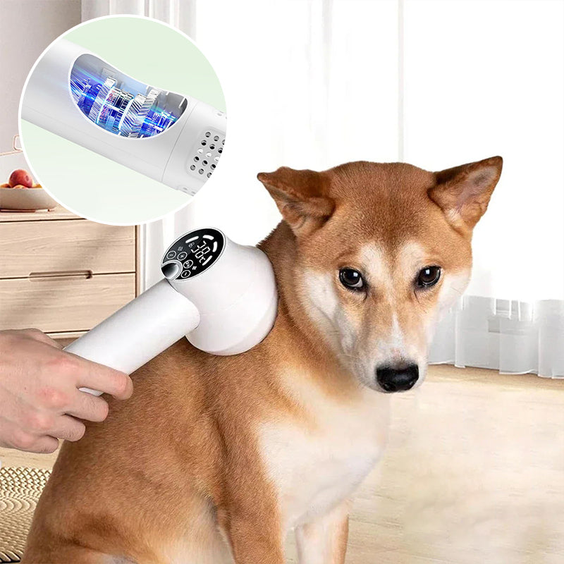 šHOT SALE ā³Low Noise Pet Hair Dryer with Slicker Brush