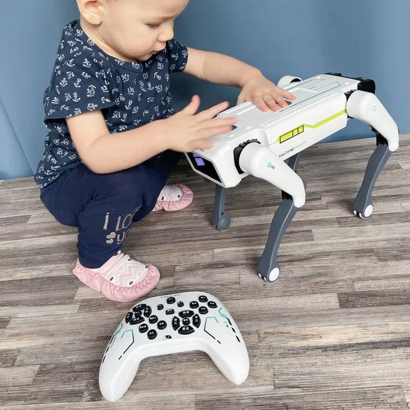 🔥Artificial Intelligence Remote Control Robot Dog Set