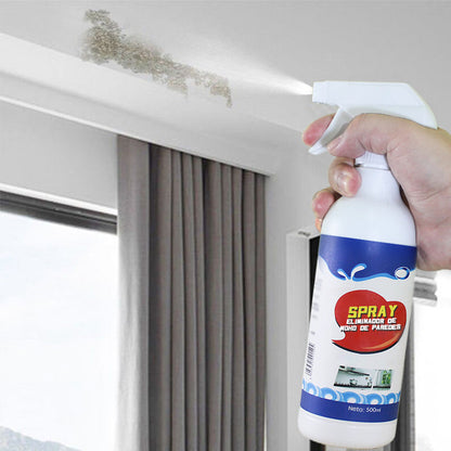 Highly Effective Mould Removal Spray - Prevents Mould Regrowth🦠