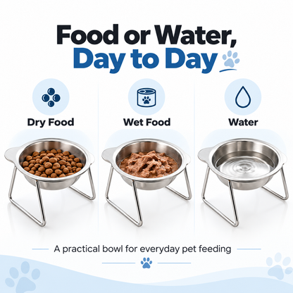 🥣 15° Tilted Orthopaedic Feeding Bowl