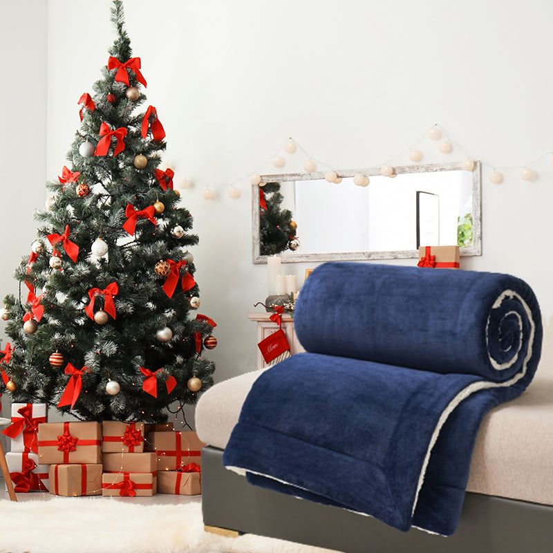 [Winter Gift] Double Thickened Warm Plush Blanket