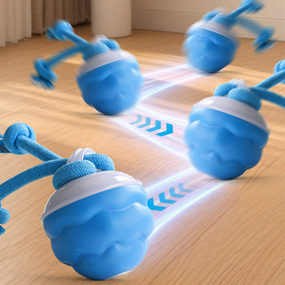 🎄Interactive Electronic Pet Soothing Toy Ball