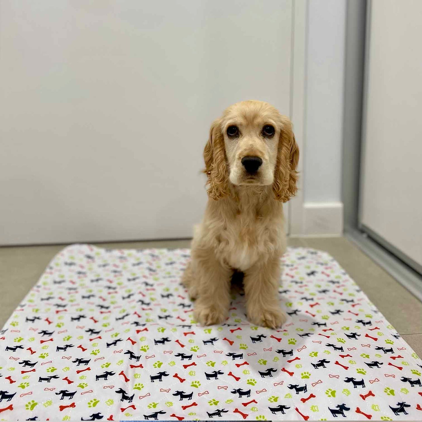 🐶😸Premium Reusable Super Absorbent PuppyPad🐾 (Kitten & Other Pets)