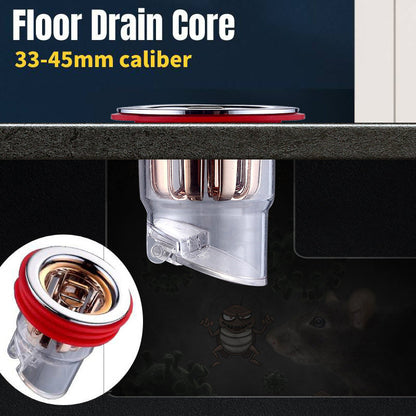 Universal Magnetic Drain Insert – Installs in Seconds 🛠️✔️