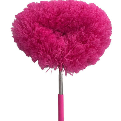 ✨Multifunctional Feather Duster